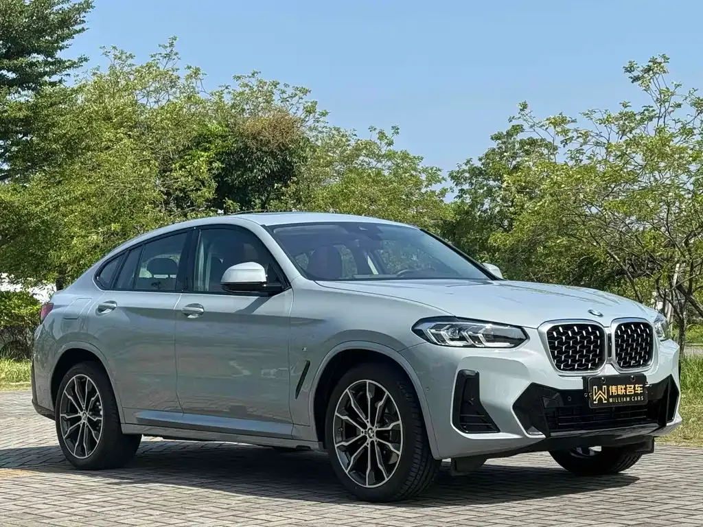 BMW X4 2024 из CN, фото 3