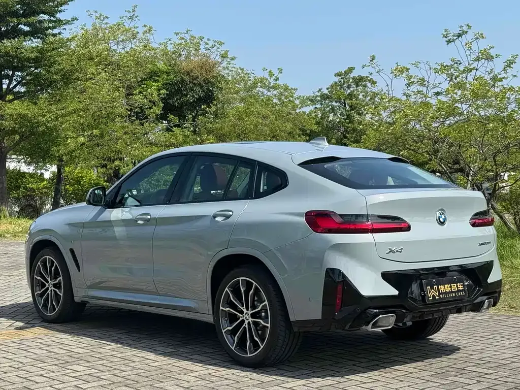 BMW X4 2024 из CN, фото 6