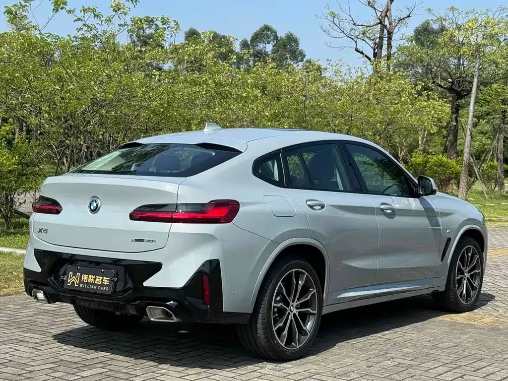 BMW X4 2024 из CN, фото 8