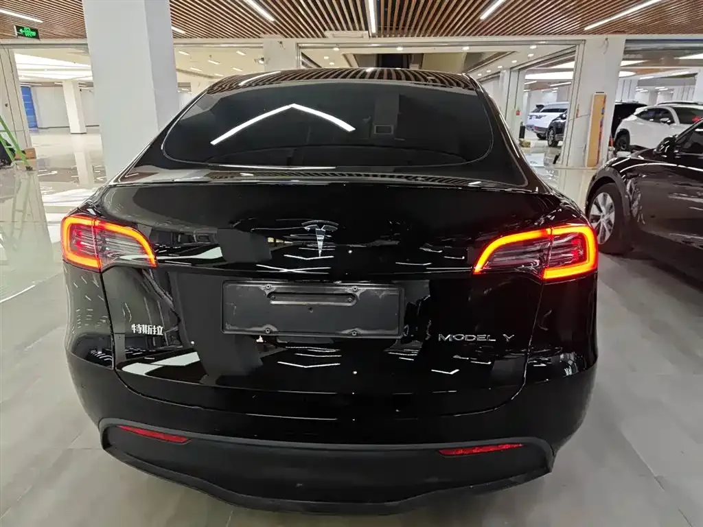 Tesla Model Y 2023 из CN, фото 6