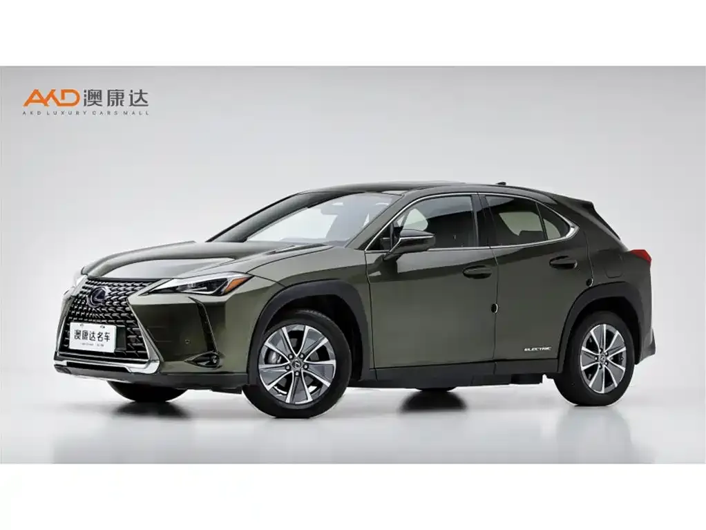 Lexus UX New Energy 2021 из CN, фото 1