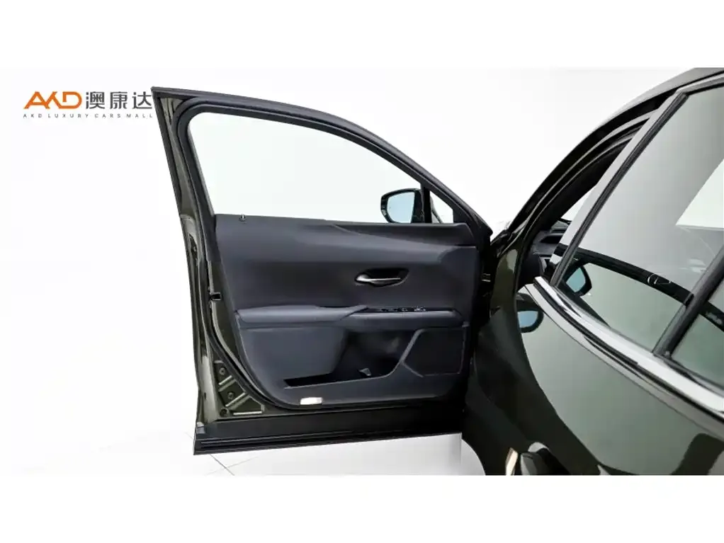 Lexus UX New Energy 2021 из CN, фото 10