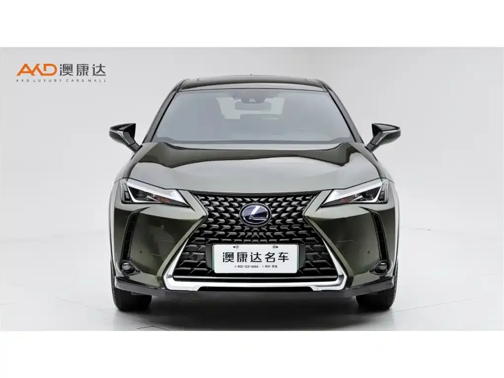 Lexus UX New Energy 2021 из CN, фото 2