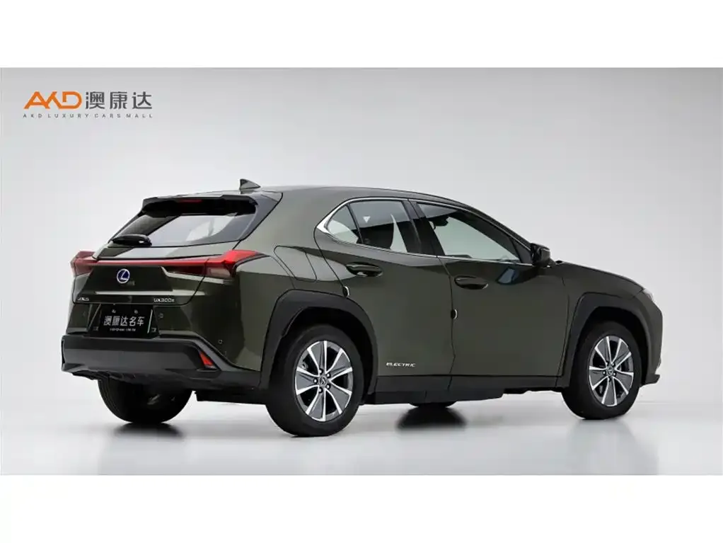 Lexus UX New Energy 2021 из CN, фото 3