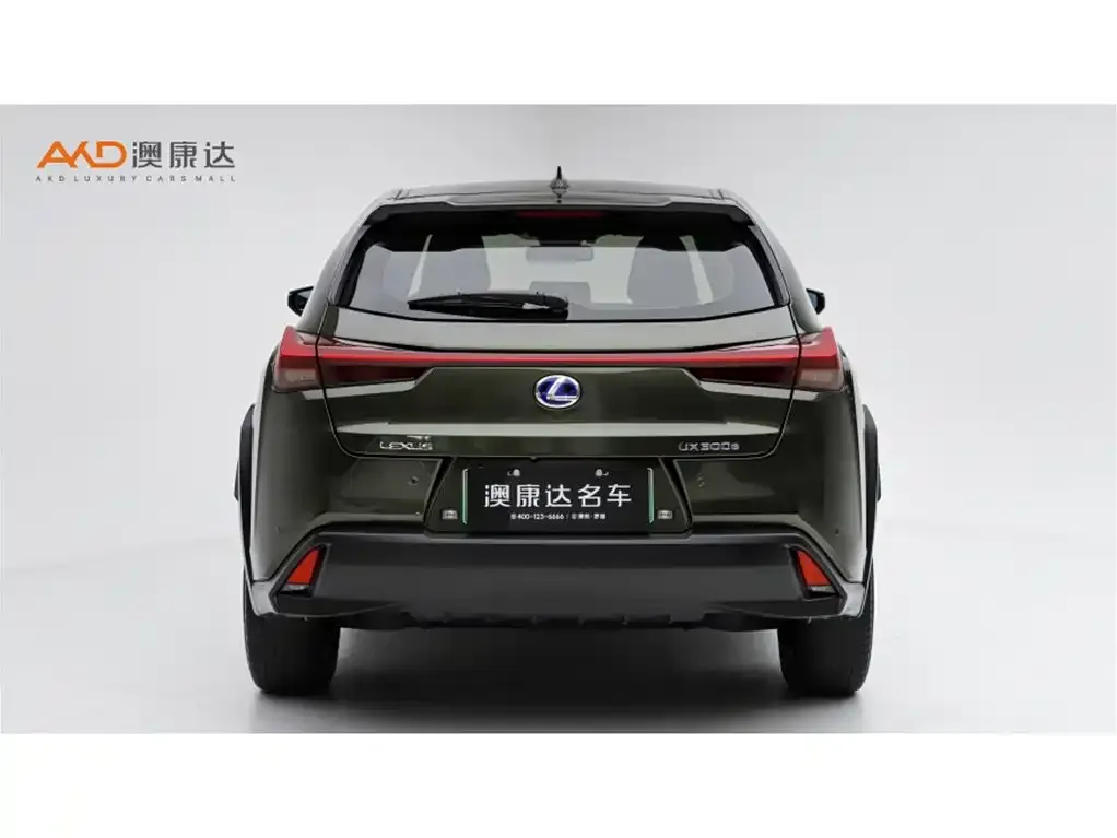 Lexus UX New Energy 2021 из CN, фото 4