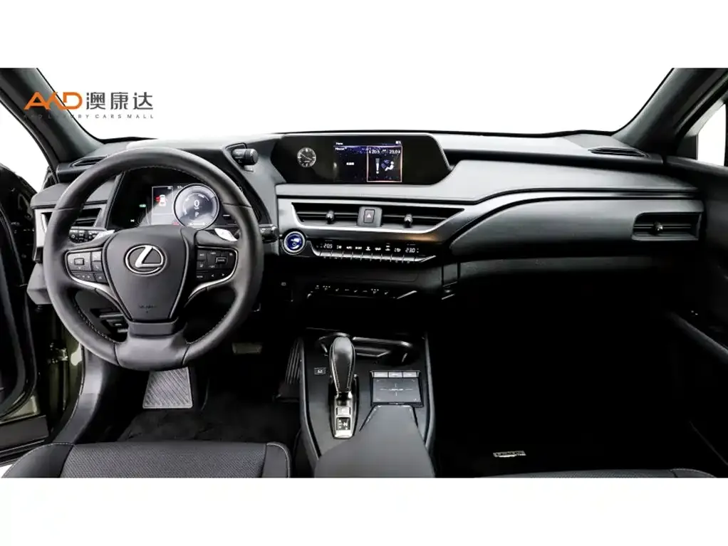 Lexus UX New Energy 2021 из CN, фото 5