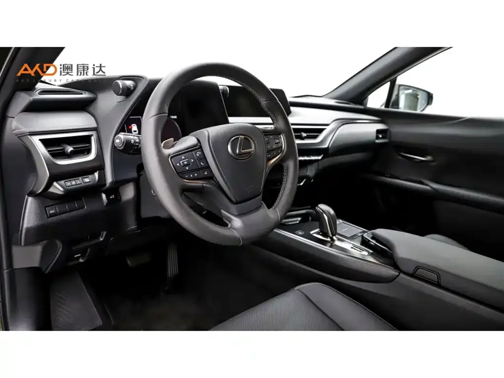 Lexus UX New Energy 2021 из CN, фото 6