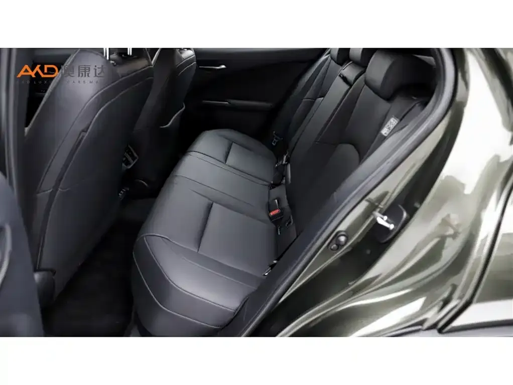 Lexus UX New Energy 2021 из CN, фото 7