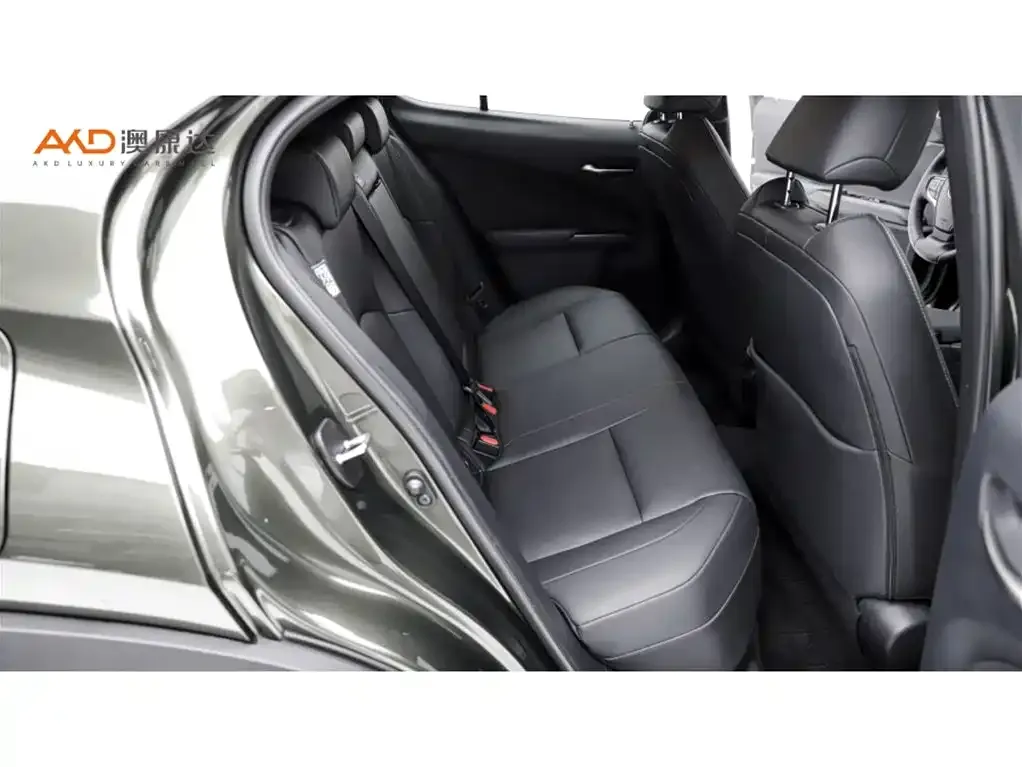 Lexus UX New Energy 2021 из CN, фото 8