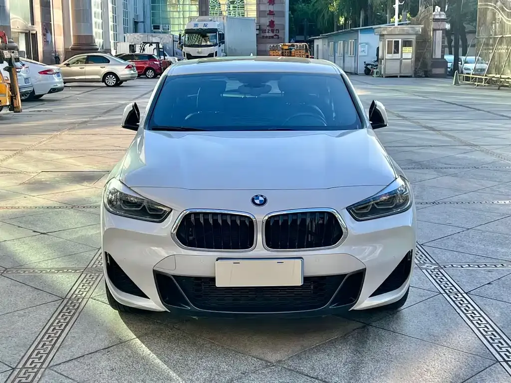 BMW X2 2021 из CN, фото 2