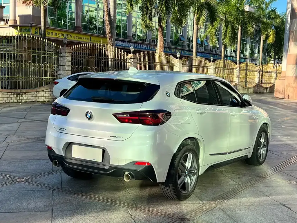 BMW X2 2021 из CN, фото 3