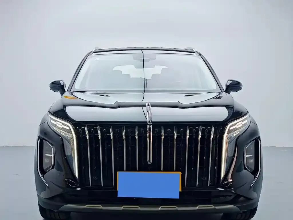 Hongqi HS7 PHEV 2024 из CN, фото 2