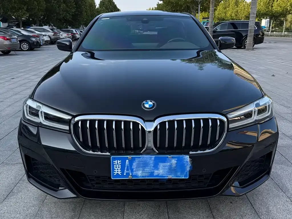 BMW 5 Series 2023 из CN, фото 2
