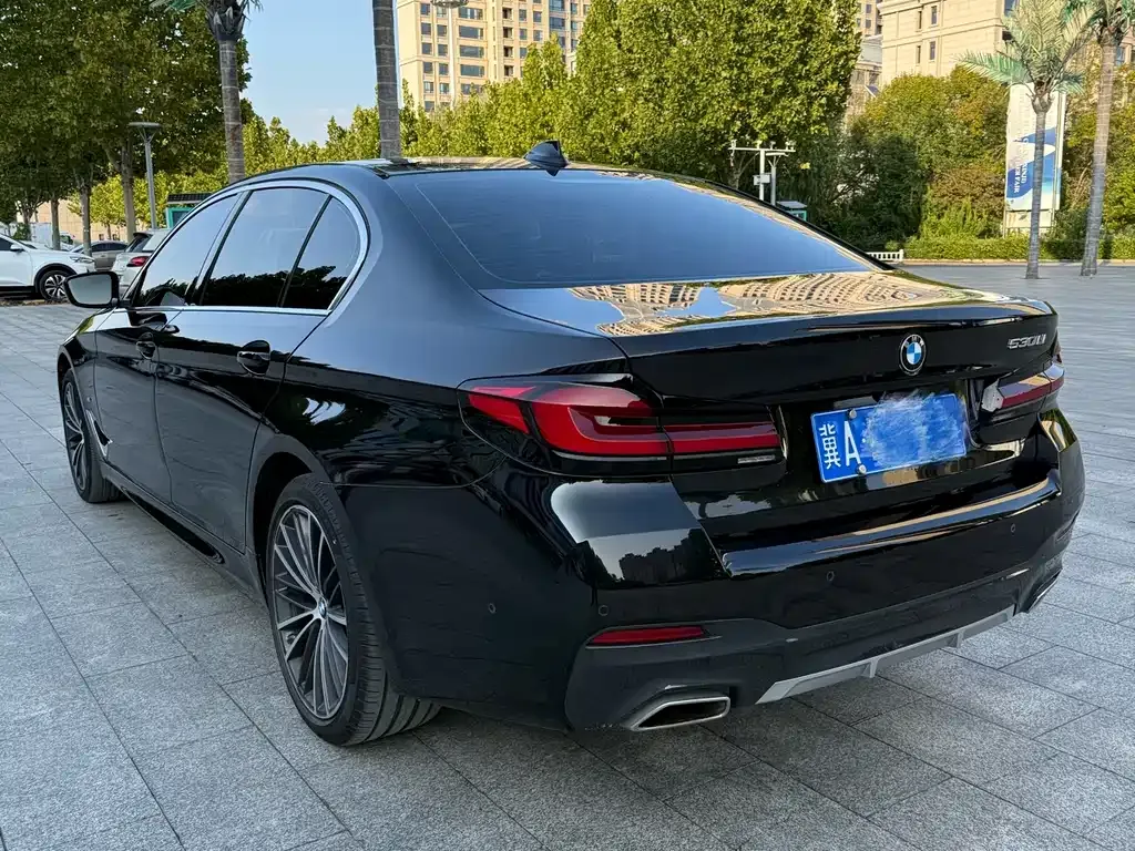 BMW 5 Series 2023 из CN, фото 3