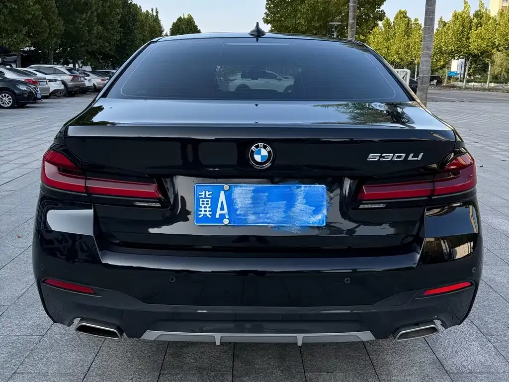 BMW 5 Series 2023 из CN, фото 4
