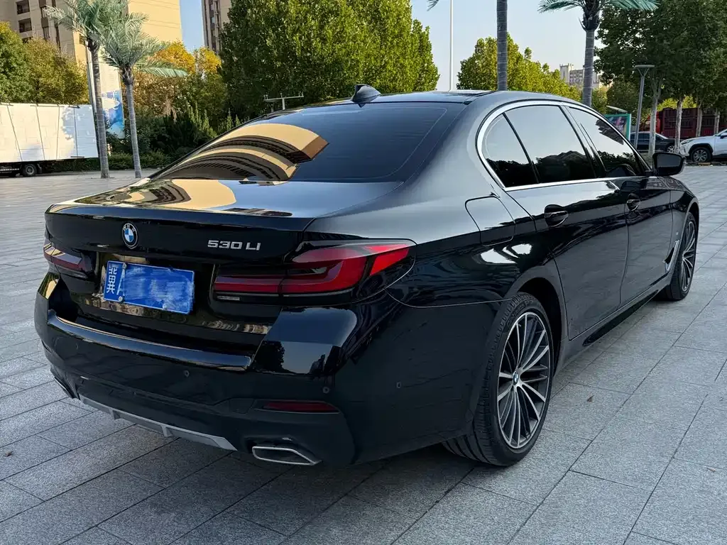 BMW 5 Series 2023 из CN, фото 5