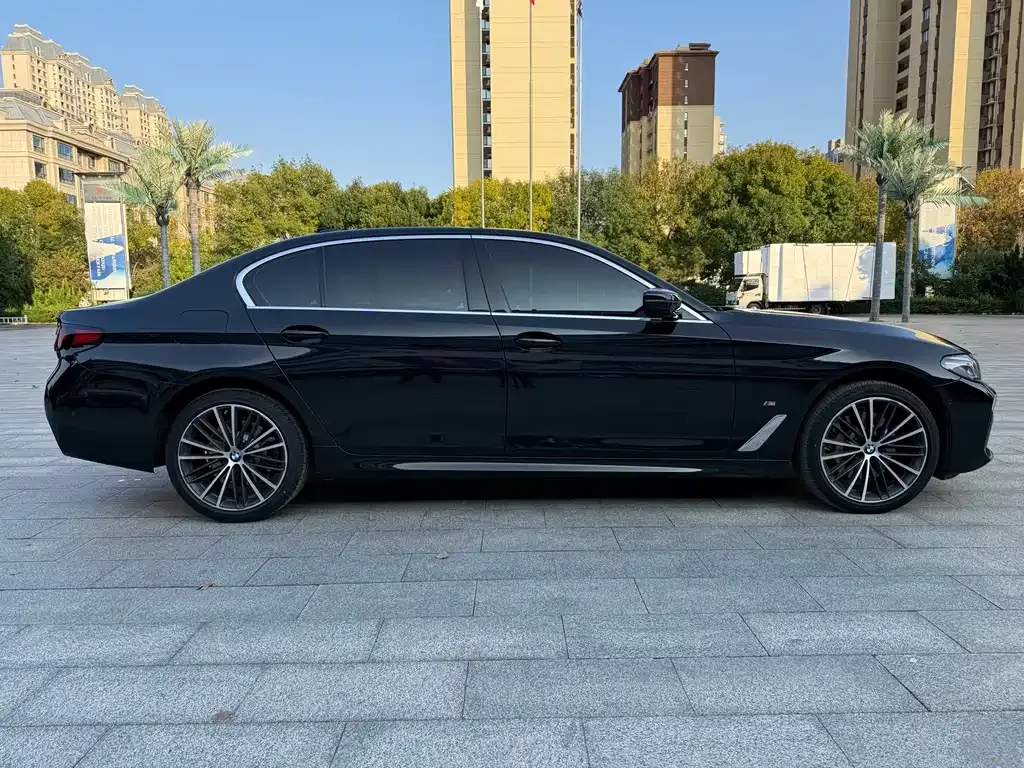 BMW 5 Series 2023 из CN, фото 6