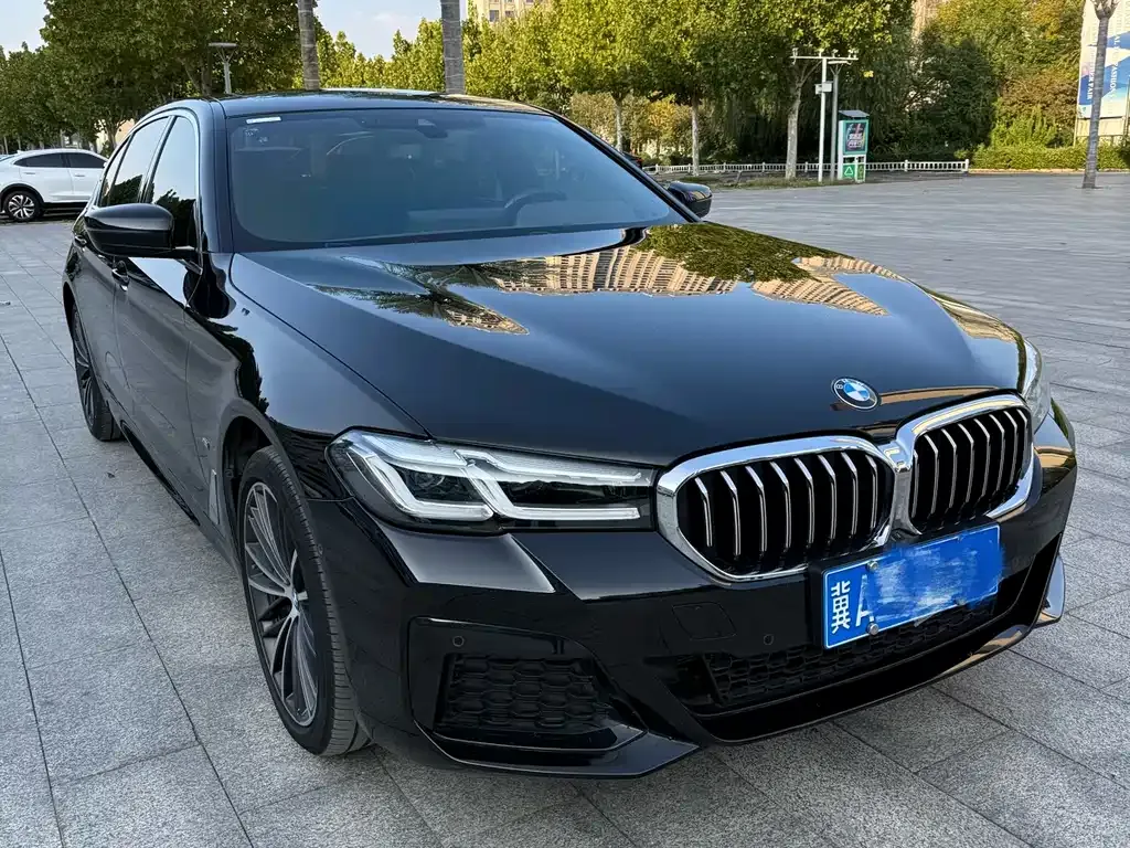 BMW 5 Series 2023 из CN, фото 7