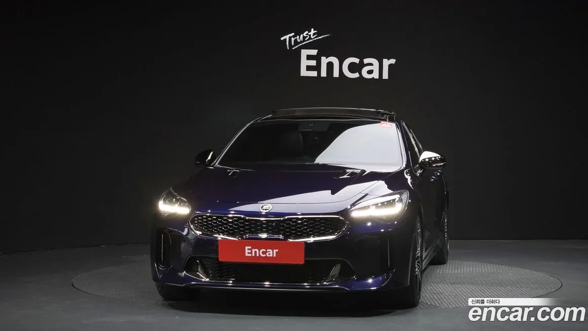 [object Object] Stinger 2021 из KR, фото 3