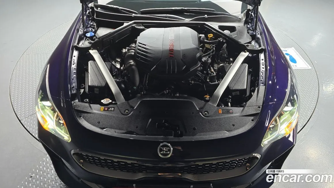 [object Object] Stinger 2021 из KR, фото 6