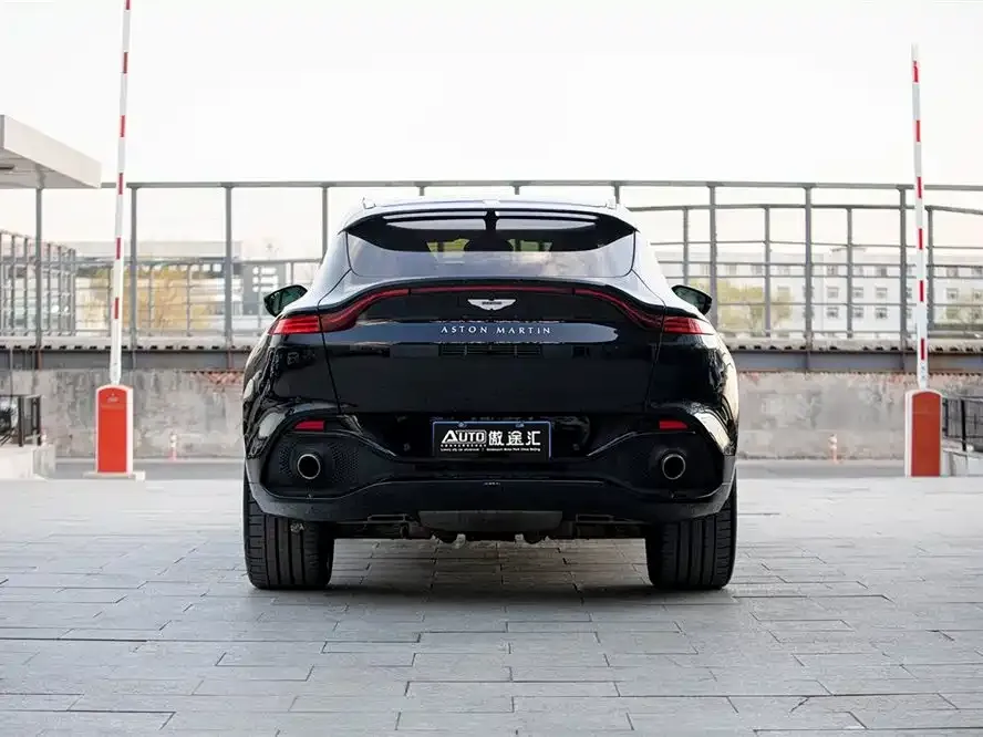 Aston Martin DBX 2022 из CN, фото 4