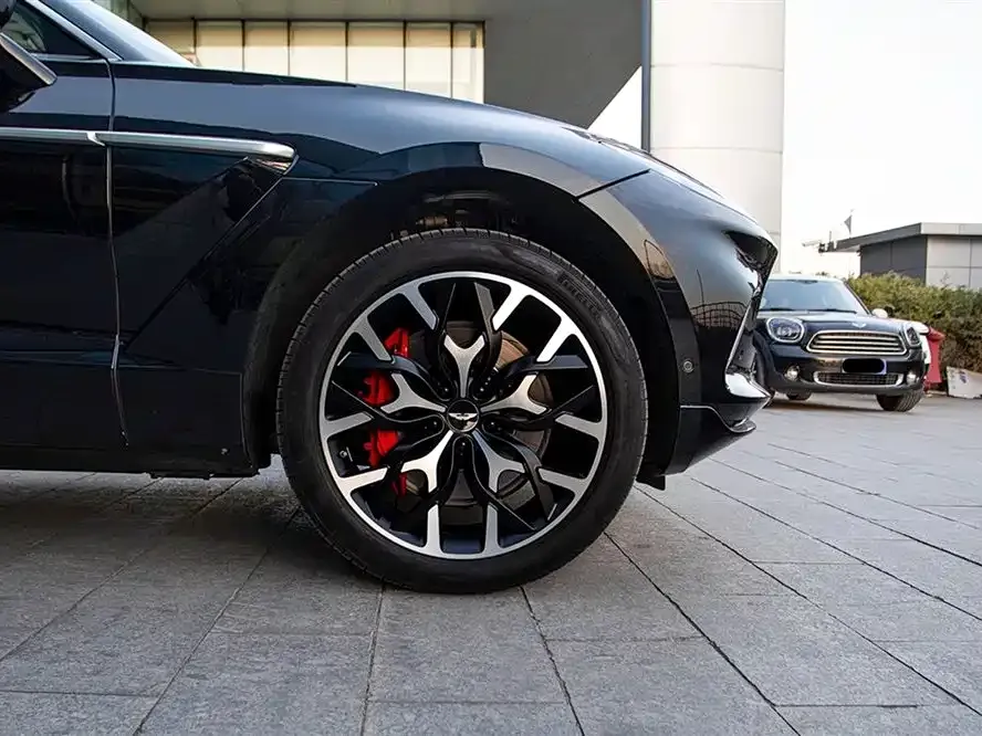Aston Martin DBX 2022 из CN, фото 5