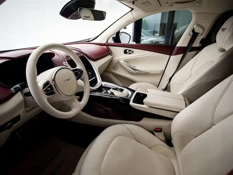 Aston Martin DBX 2022 из CN, фото 7