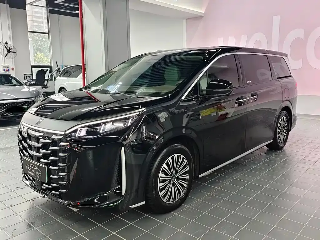 BYD Xia 2025 из CN, фото 1