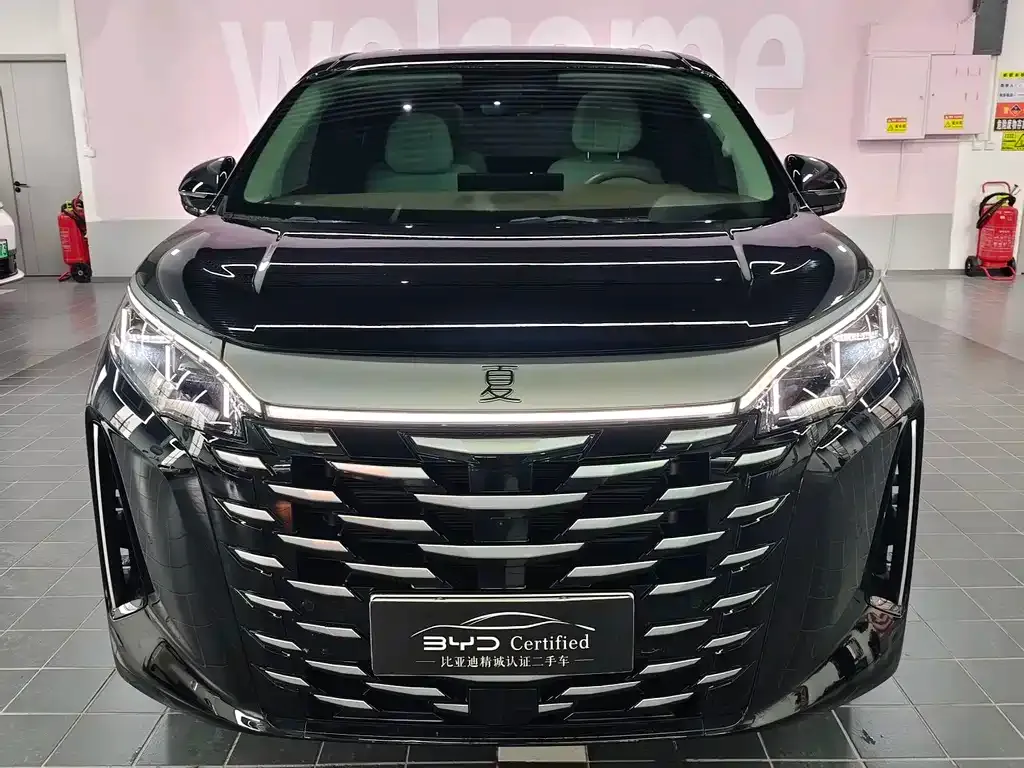 BYD Xia 2025 из CN, фото 2