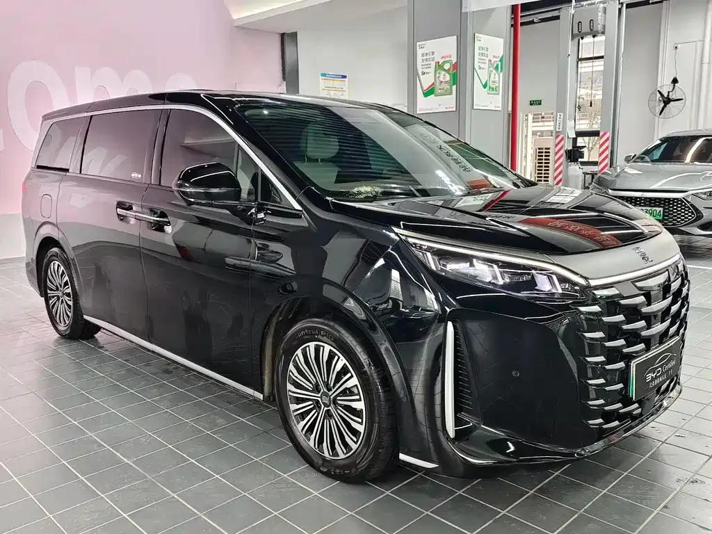 BYD Xia 2025 из CN, фото 3