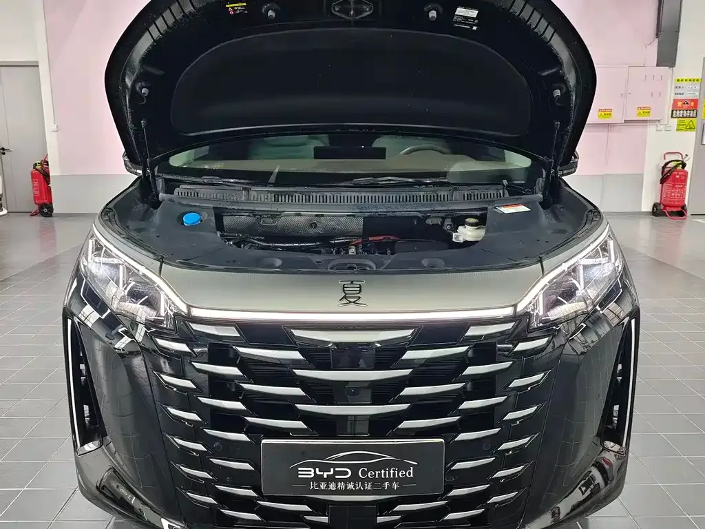 BYD Xia 2025 из CN, фото 4