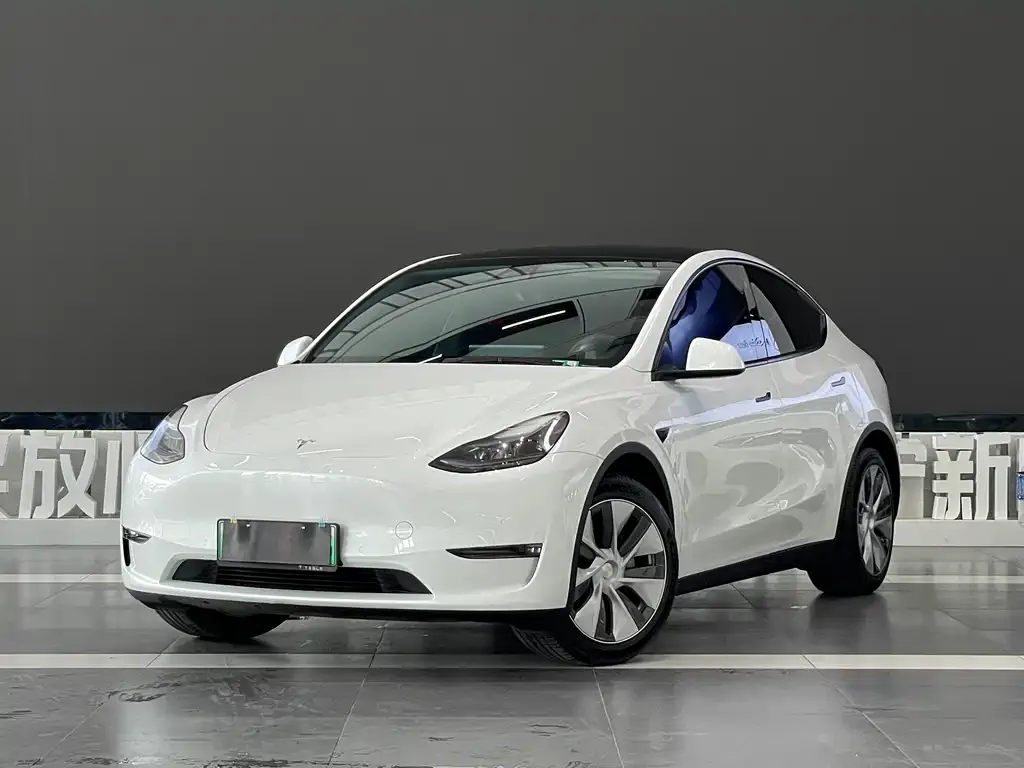 Tesla Model Y — фото 1