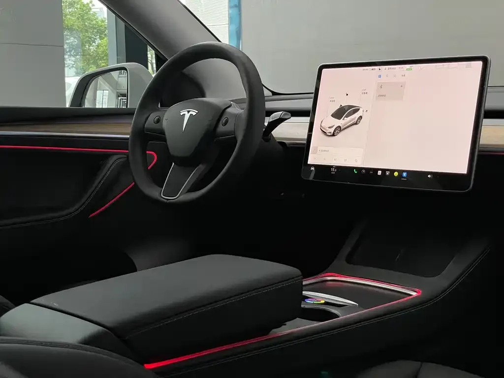 Tesla Model Y — фото 10