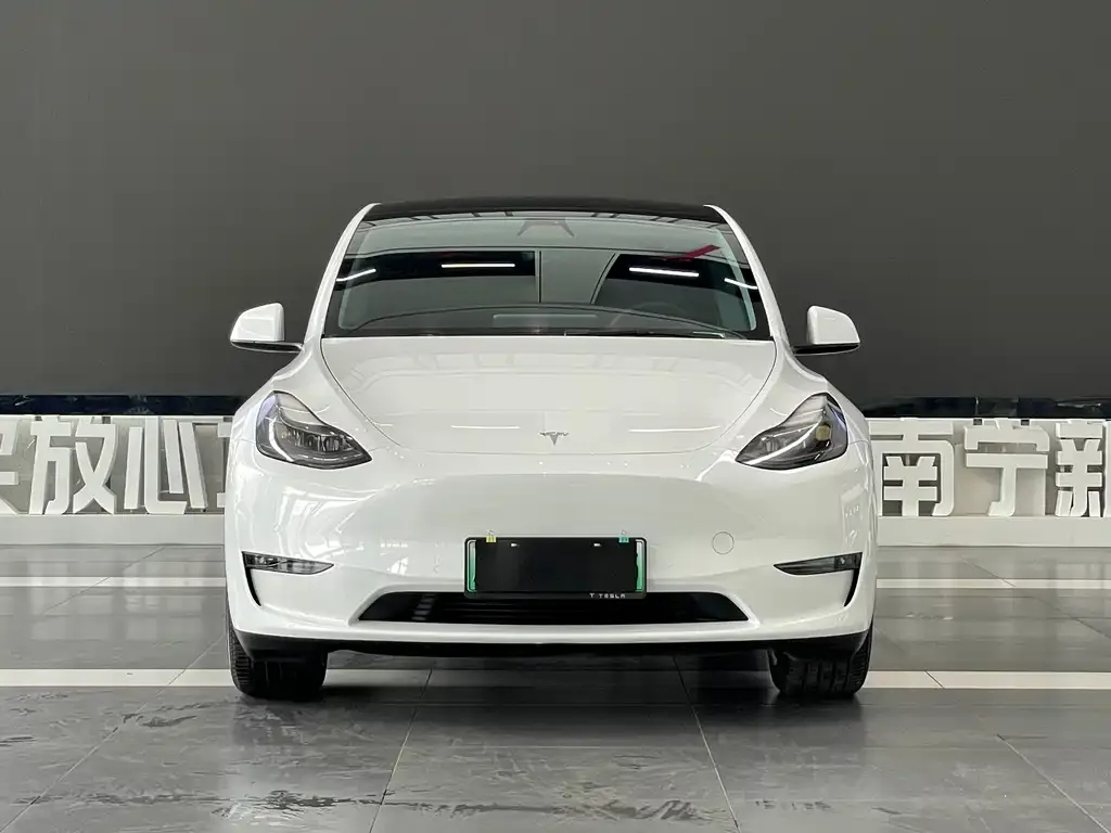 Tesla Model Y — фото 2
