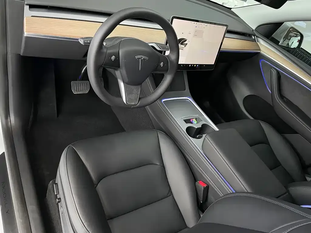 Tesla Model Y — фото 7