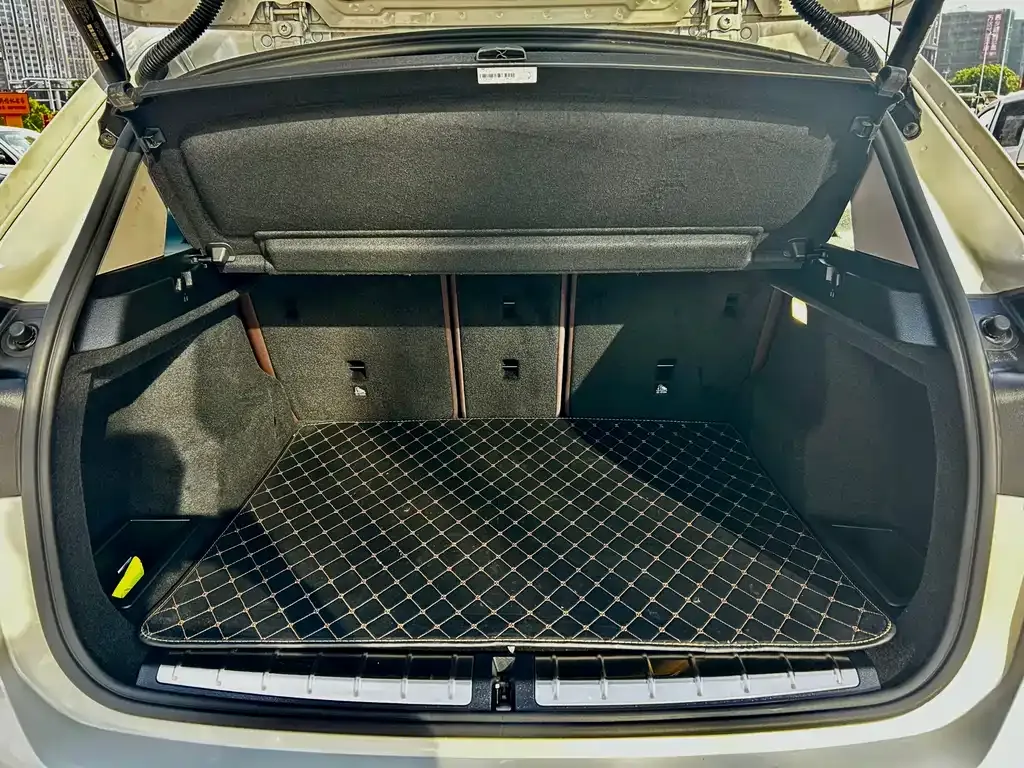 BMW X1 2021 из CN, фото 8