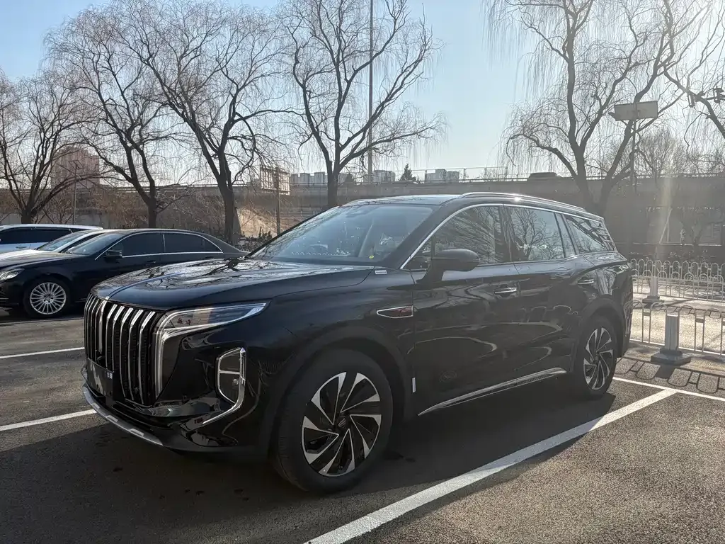 Hongqi HS7 PHEV 2025 из CN, фото 1