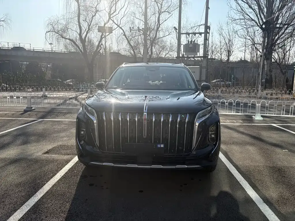 Hongqi HS7 PHEV 2025 из CN, фото 2