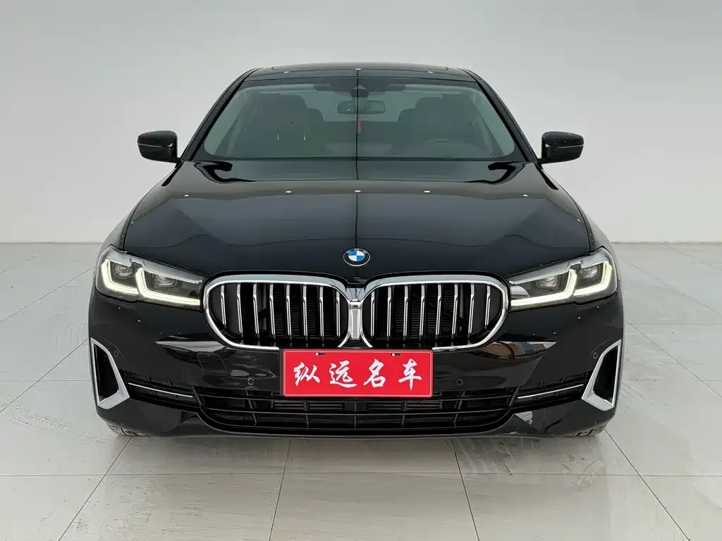 BMW 5 Series 2022 из CN, фото 2
