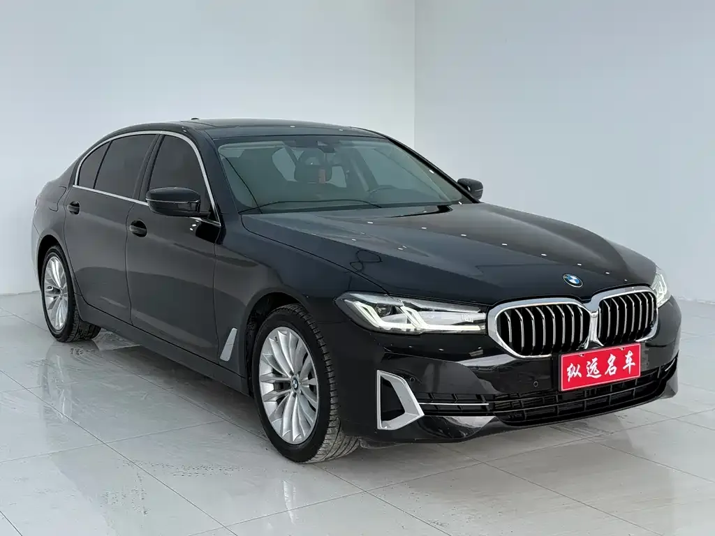 BMW 5 Series 2022 из CN, фото 3