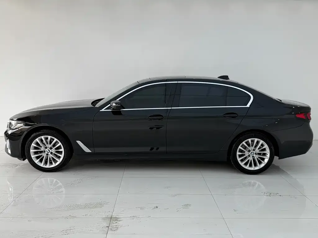 BMW 5 Series 2022 из CN, фото 4