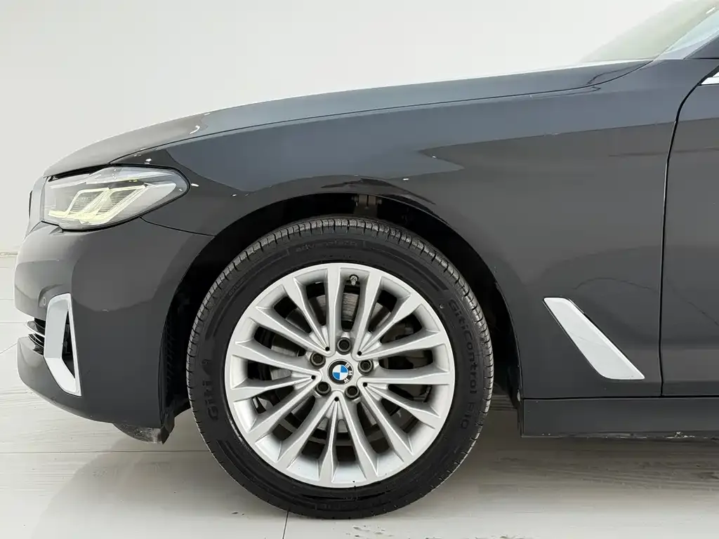 BMW 5 Series 2022 из CN, фото 5