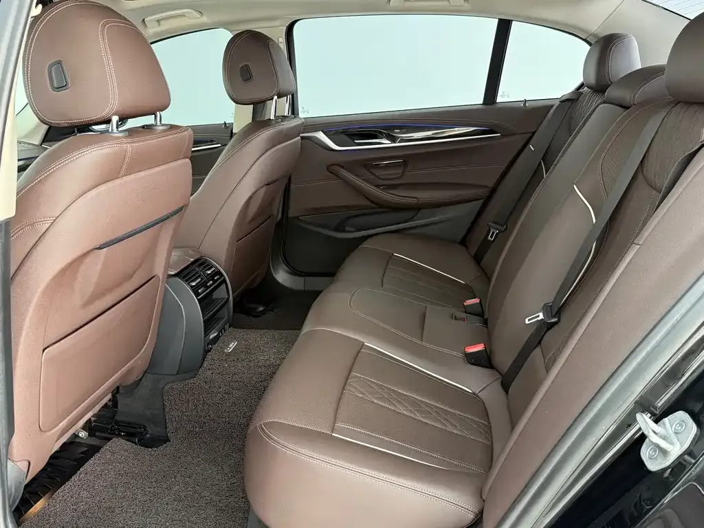 BMW 5 Series 2022 из CN, фото 8