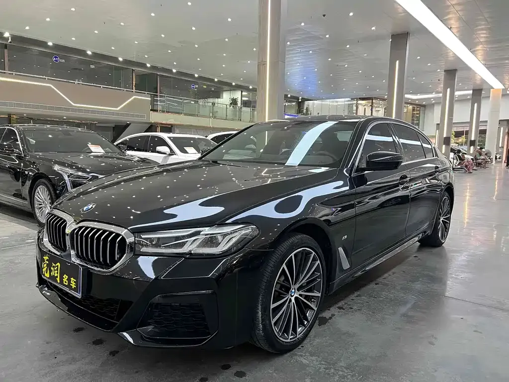 BMW 5 Series 2021 из CN, фото 1
