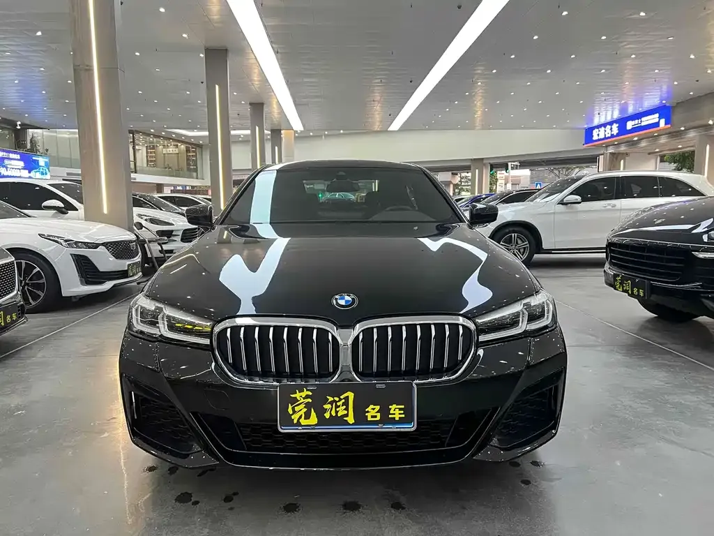 BMW 5 Series 2021 из CN, фото 2