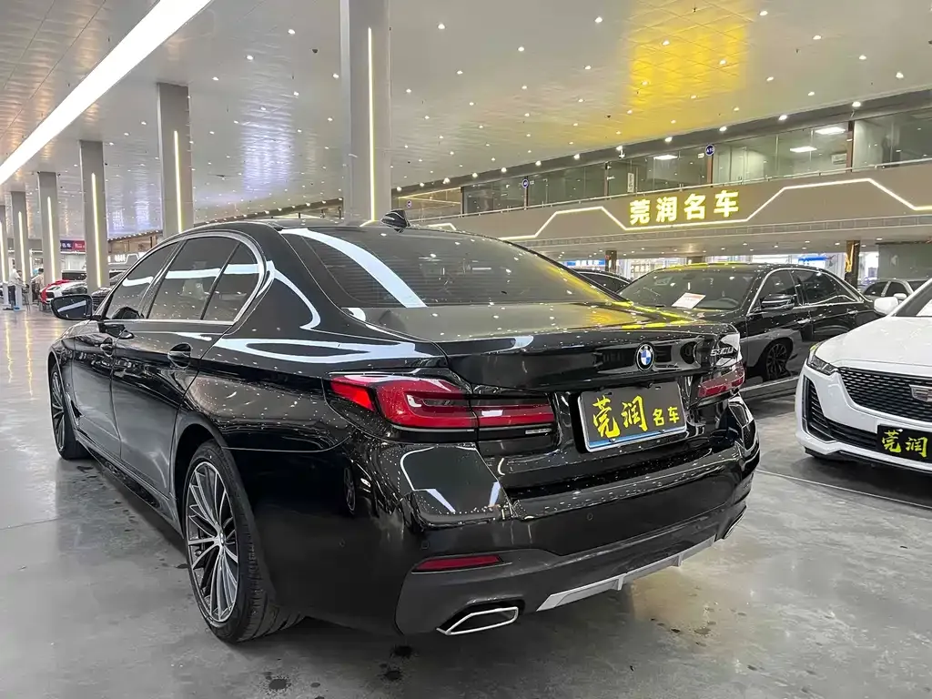 BMW 5 Series 2021 из CN, фото 3