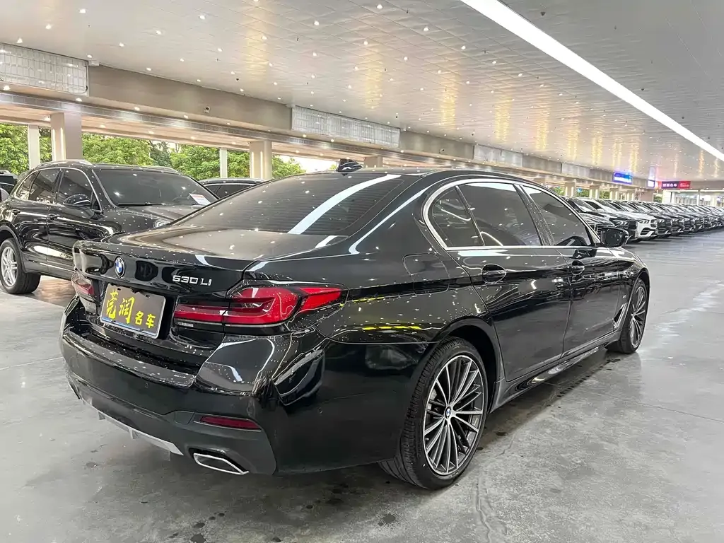BMW 5 Series 2021 из CN, фото 4