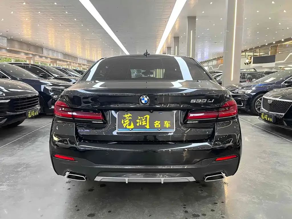 BMW 5 Series 2021 из CN, фото 5