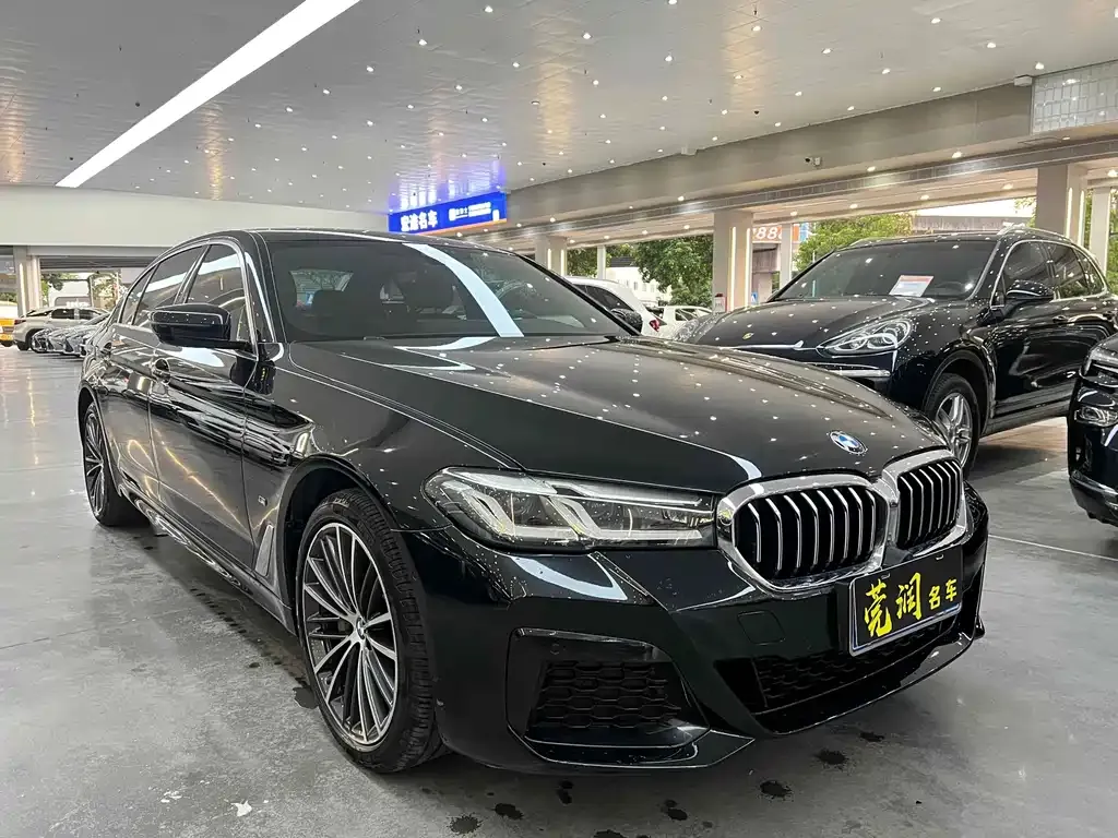 BMW 5 Series 2021 из CN, фото 6