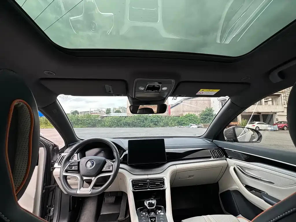 BYD PLUS New Energy 2023 из CN, фото 10